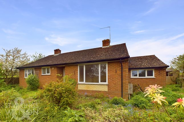 Detached bungalow for sale in Postwick Lane, Brundall, Norwich
