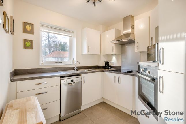 6 Coralie Court, Westfield View, Norwich photo 4