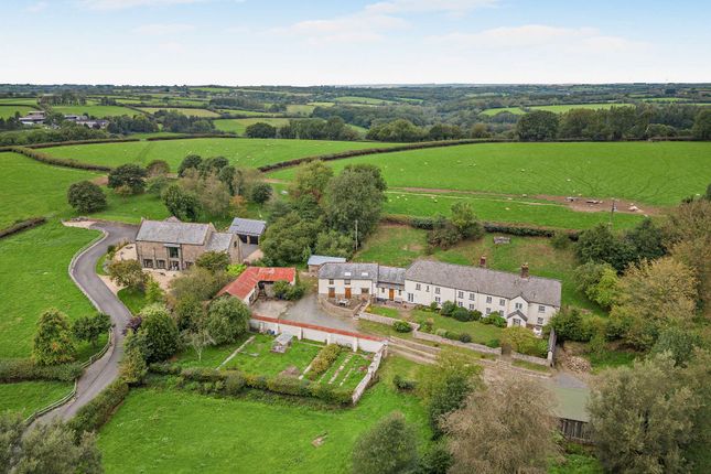Witheridge, Devon photo 3