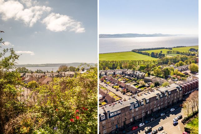 1/1, Dundee photo 2