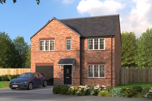 Thumbnail Detached house for sale in Newtons Lane, Cossall, Nottingham