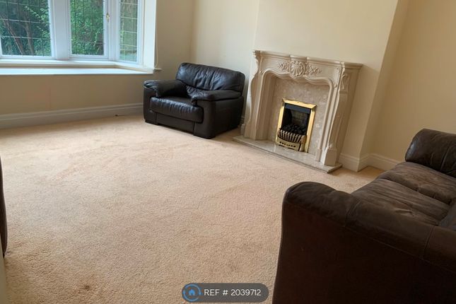 Semi-detached house to rent in Newton Drive, Blackpool