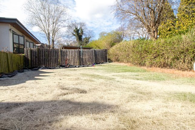 153 Burngreave Road, Sheffield photo 4