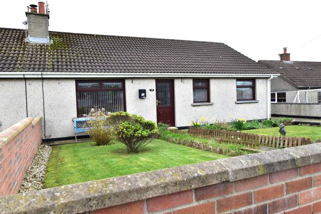 17, Victoria Gardens, Newtownards photo 2