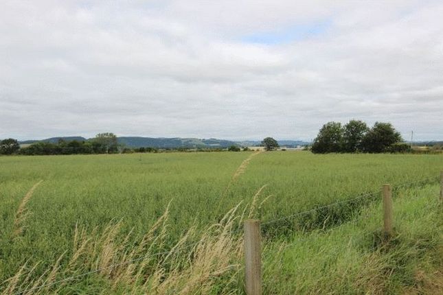 Land for sale in Newburgh, Cupar