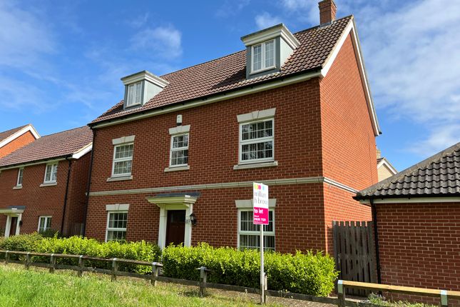 Thumbnail Detached house to rent in Hazel Walk, Red Lodge, Bury St. Edmunds