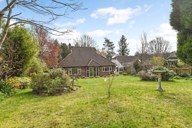 Bungalow for sale in Beech Hill, Headley Down, Bordon, Hampshire