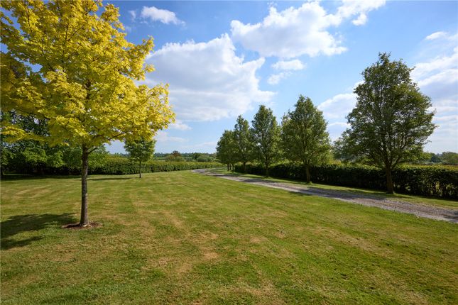 Main Drive