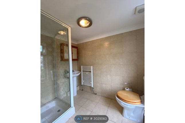 Francis Terrace, Carmarthen photo 4