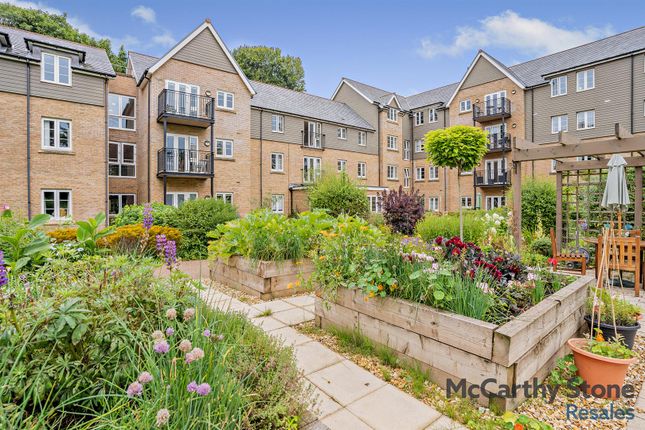Fern Court Gardens