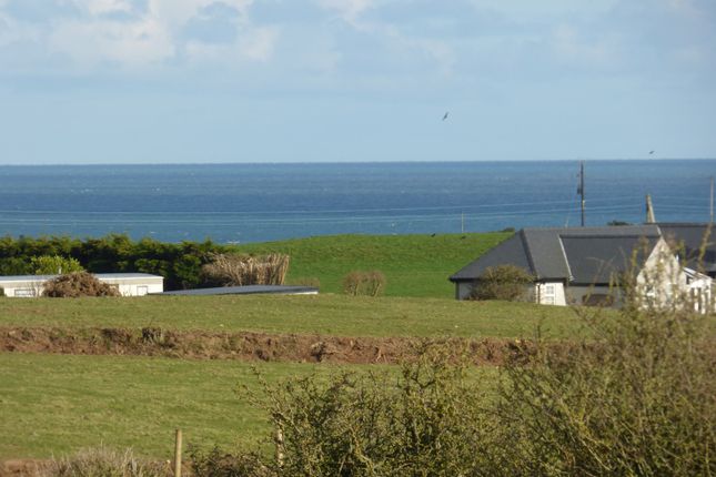 Sea Views