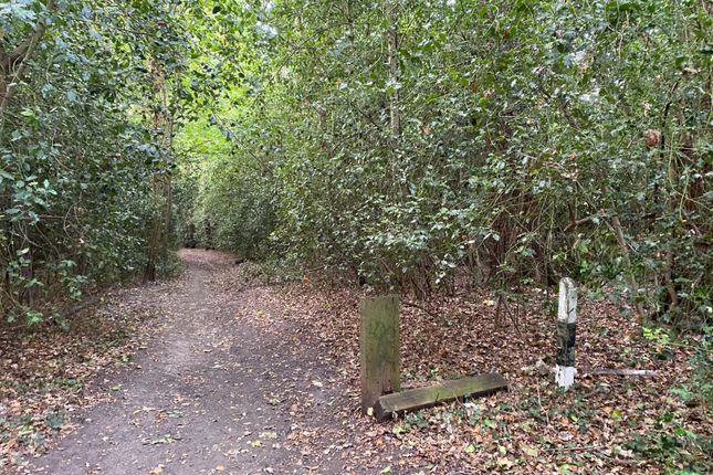 Copper Beech Close, Surrey photo 2