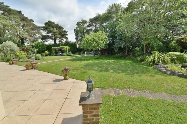 38, Lone Pine Drive, Ferndown photo 3