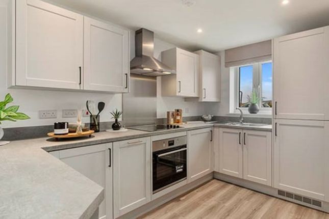 Plot 51, Tor View, The Alnmouth, West Park, Castle Cary photo 4