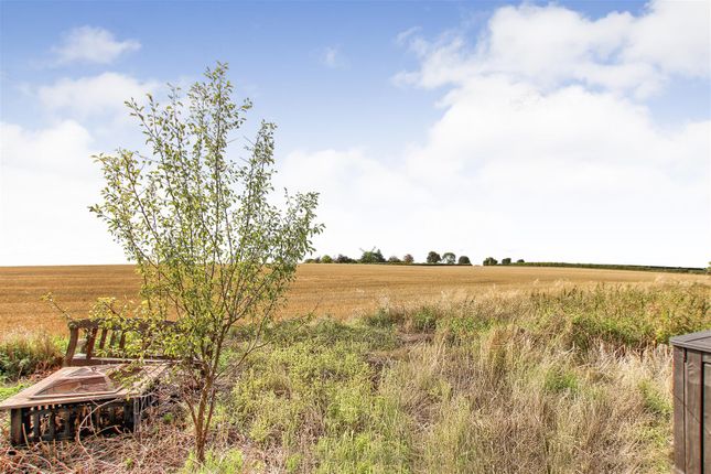 View From Garden Across Fields.Jpg