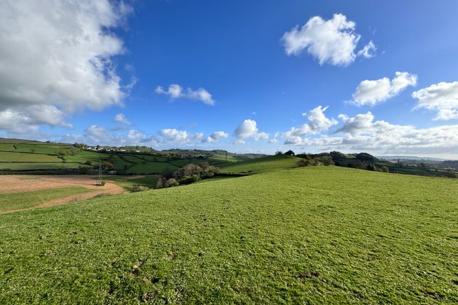 Equestrian property for sale in Bickington, Newton Abbot