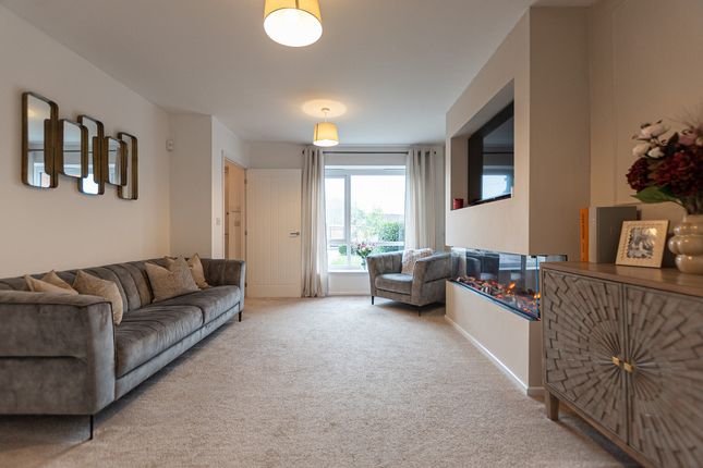 111, Naylorsfield Drive, Belle Vale photo 4