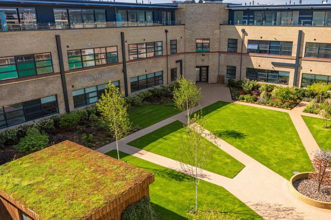 Courtyard.Jpg