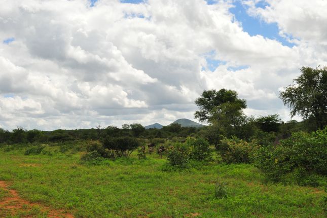 Farm for sale in 1 Buffalo Ranch, 1 Selati Nature Reserve, Selati Game Reserve, Hoedspruit, Limpopo Province, South Africa
