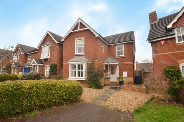 Thumbnail Detached house to rent in Scholars Walk, Guildford