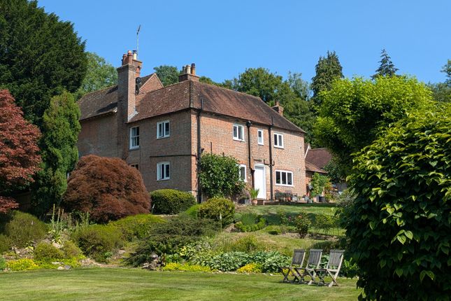 Rear Elevation