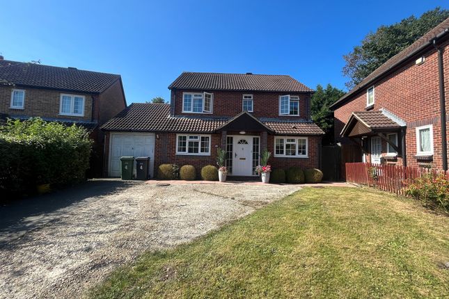 Thumbnail Detached house for sale in Westdean Close, St. Leonards-On-Sea