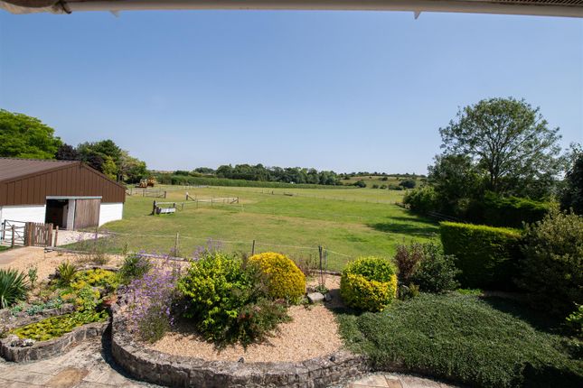 Bentleigh Farm_31.07.24-6.Jpg