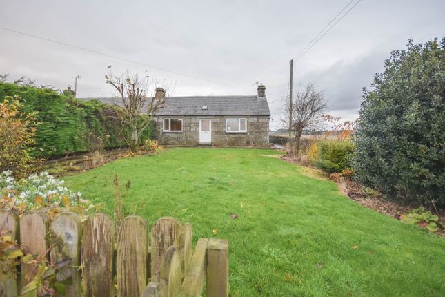 Thumbnail Semi-detached house to rent in Cuthlie Farm, Arbirlot, Arbroath, Angus