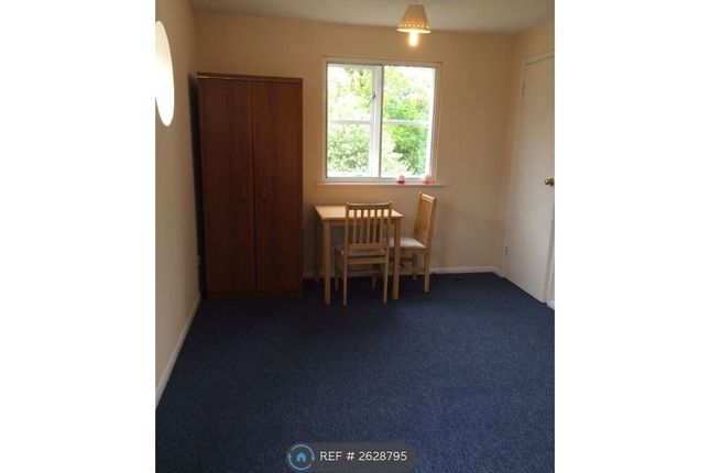 Main Room
