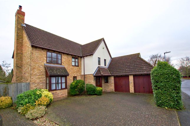 Thumbnail Detached house to rent in Headley Gardens, Great Shelford, Cambridge
