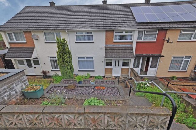 Thumbnail Terraced house to rent in Attractive Terrace, Dart Road, Newport