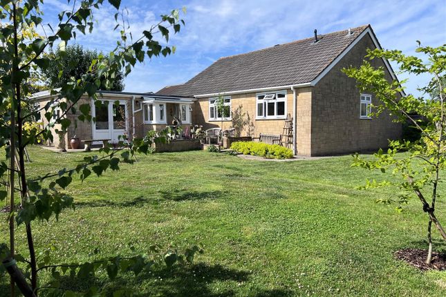 Rear Garden.Jpg