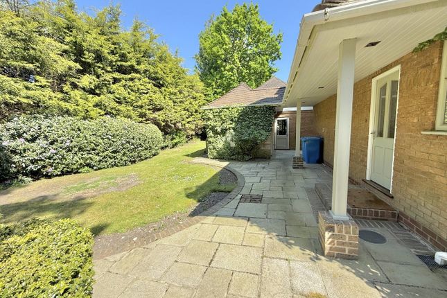 Side Garden (North)