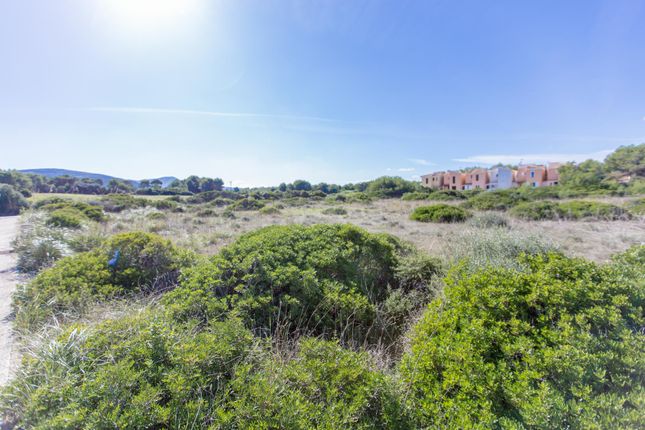 Land for sale in Colonia De Sant Pere, Colonia De Sant Pere, Majorca, Balearic Islands, Spain