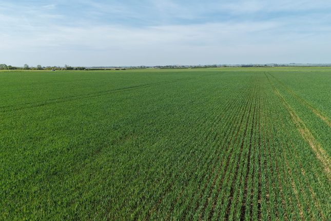 Lot 3 - 29.16 Acres (11.80ha) of Grade 3 Arable La, Austen Fen, Louth photo 3