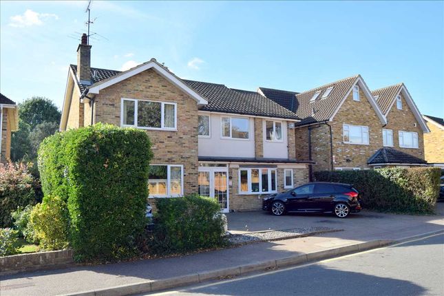 Thumbnail Detached house for sale in The Colnes, Coppins Close, Chelmsford