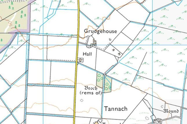 Land for sale in Land At Grudge House, Tannach, By Wick