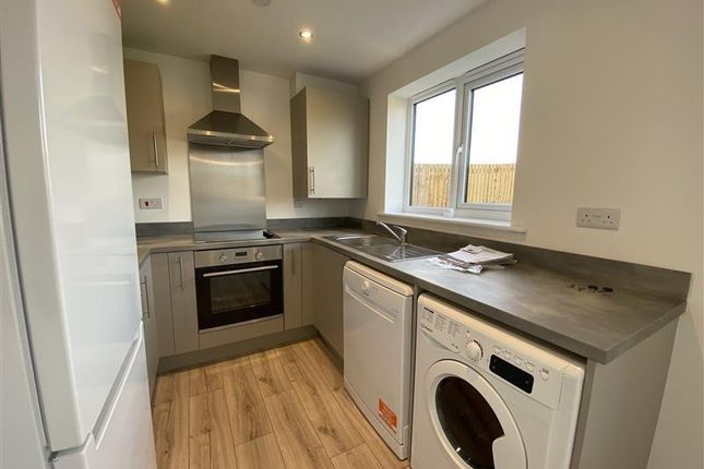 35, Fallow Park, Wallsend photo 3