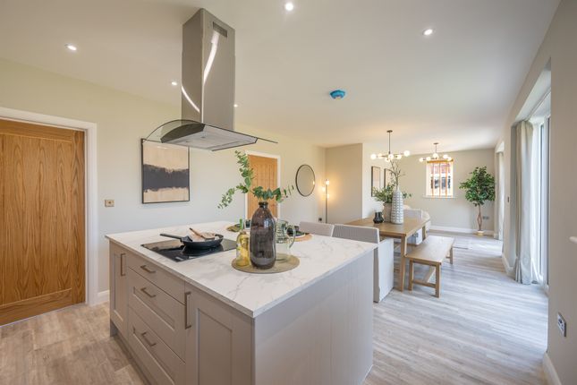 Plot 5, The Hawthorns, Derby photo 4