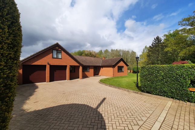 Thumbnail Detached bungalow for sale in Finneys Drift, Nacton, Ipswich