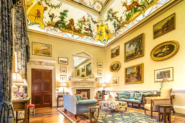 Monkey Room