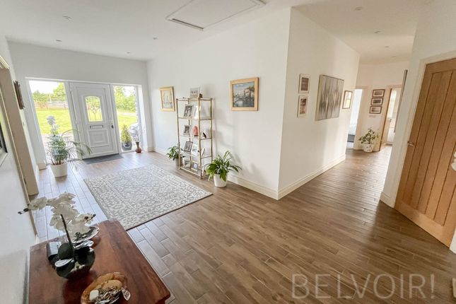 28a, Bresagh Road, Lisburn photo 5