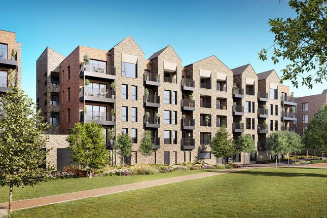 The Brenner, Number 224