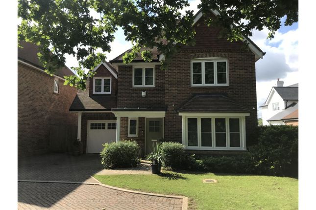 Thumbnail Detached house for sale in Sycamore Road, Cranleigh