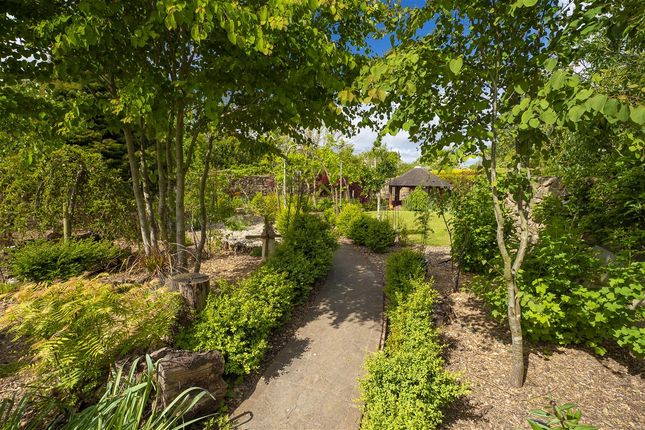 Karelia, Cuckoo Lane, Hythe photo 3