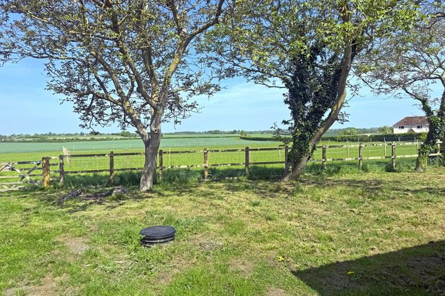 Mizpah, Bells Lane, Diss photo 3