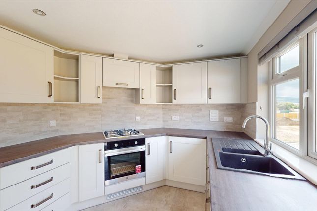 113, Pont Pentre Park, Pontypridd photo 2