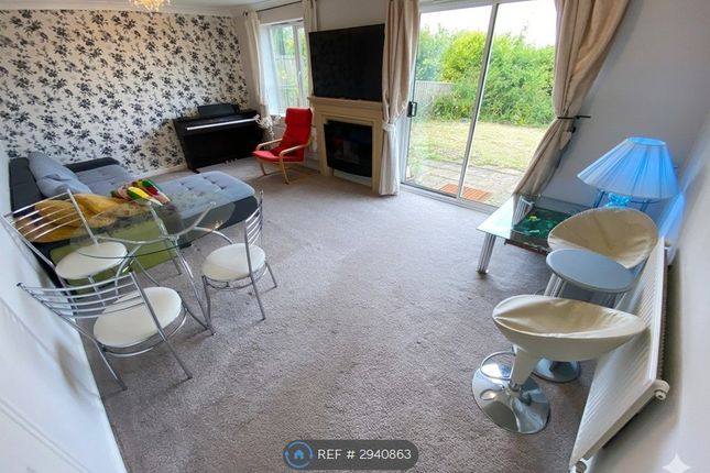 Village Heights, Gateshead photo 3