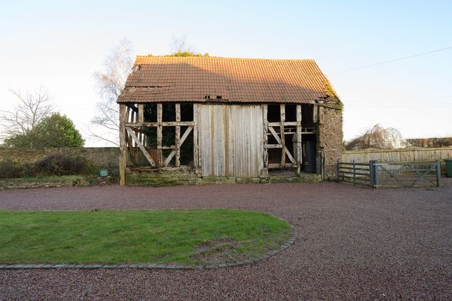 Great Treddow Farm-34