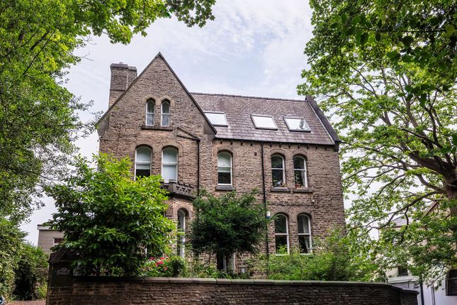 Studio flat on 24,Flat 1, Brincliffe Edge Road, Sheffield, £82,500